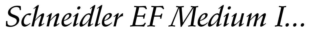 Schneidler EF Medium Italic